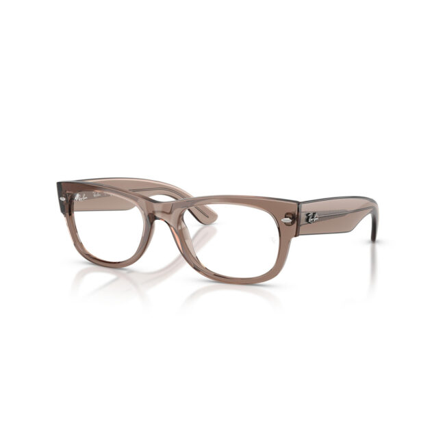 RAY BAN 0832V color 8457 principal