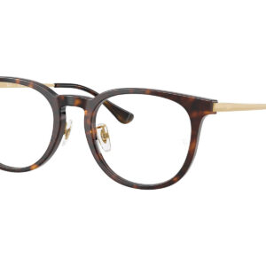 Ray Ban 5453D color 2012 principal